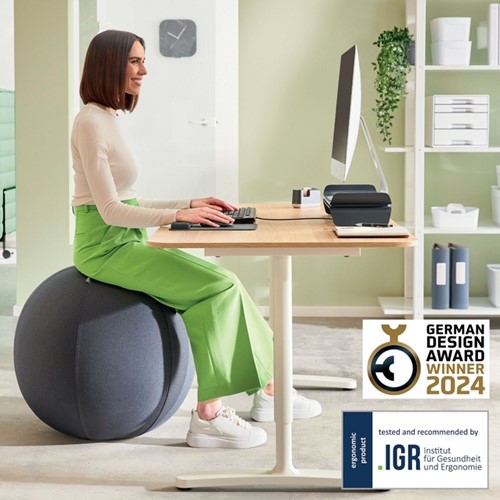 Actieve zitbal Leitz Ergo 75cm anti-rol donkergrijs-8