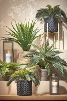 Kunstplant Mica Boston varen groen in pot Ø50cm 42cm-3